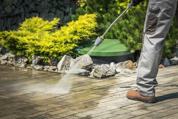 Best Soft Washing  in Lake Monticello, VA