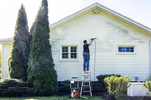 Best Dumpster Area Cleaning  in Lake Monticello, VA